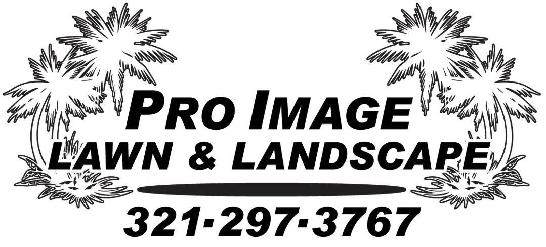 Orlando Lawn & Landscaping Services